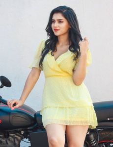 Noida call girls